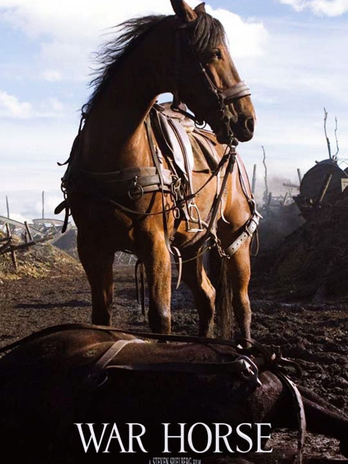 War Horse Mobile Wallpaper