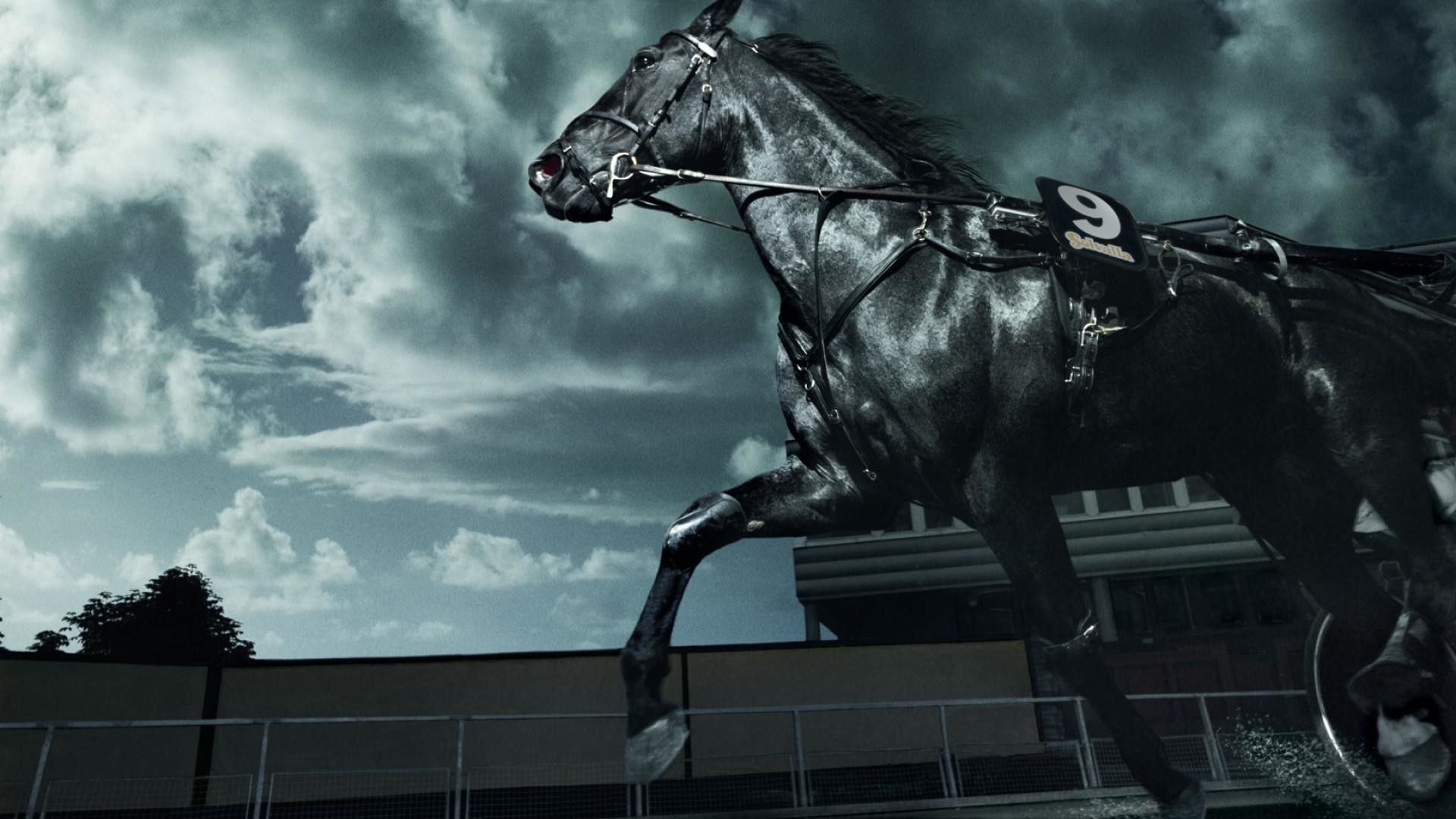 Dark Horse Wallpaper