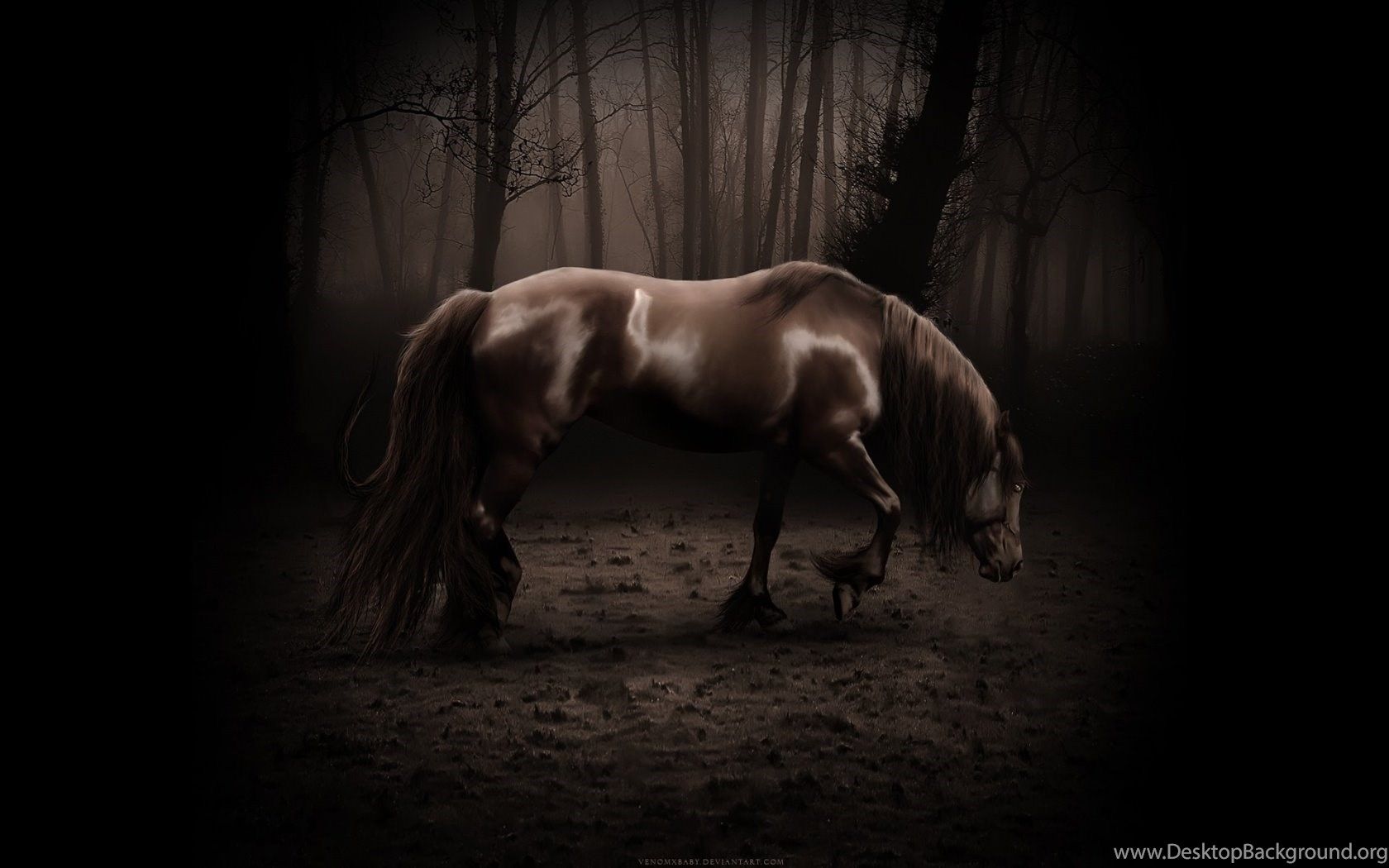 Download Brown War Horse Wallpaper In 1680x1050 Resolution