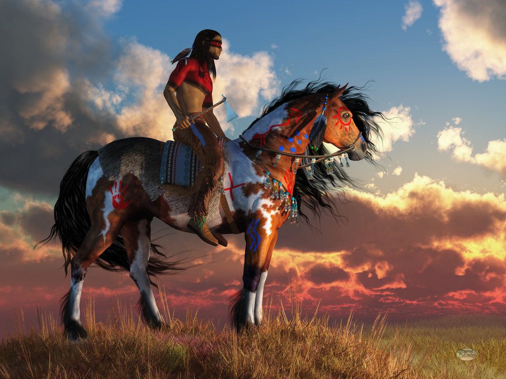 native american horse wallpaper