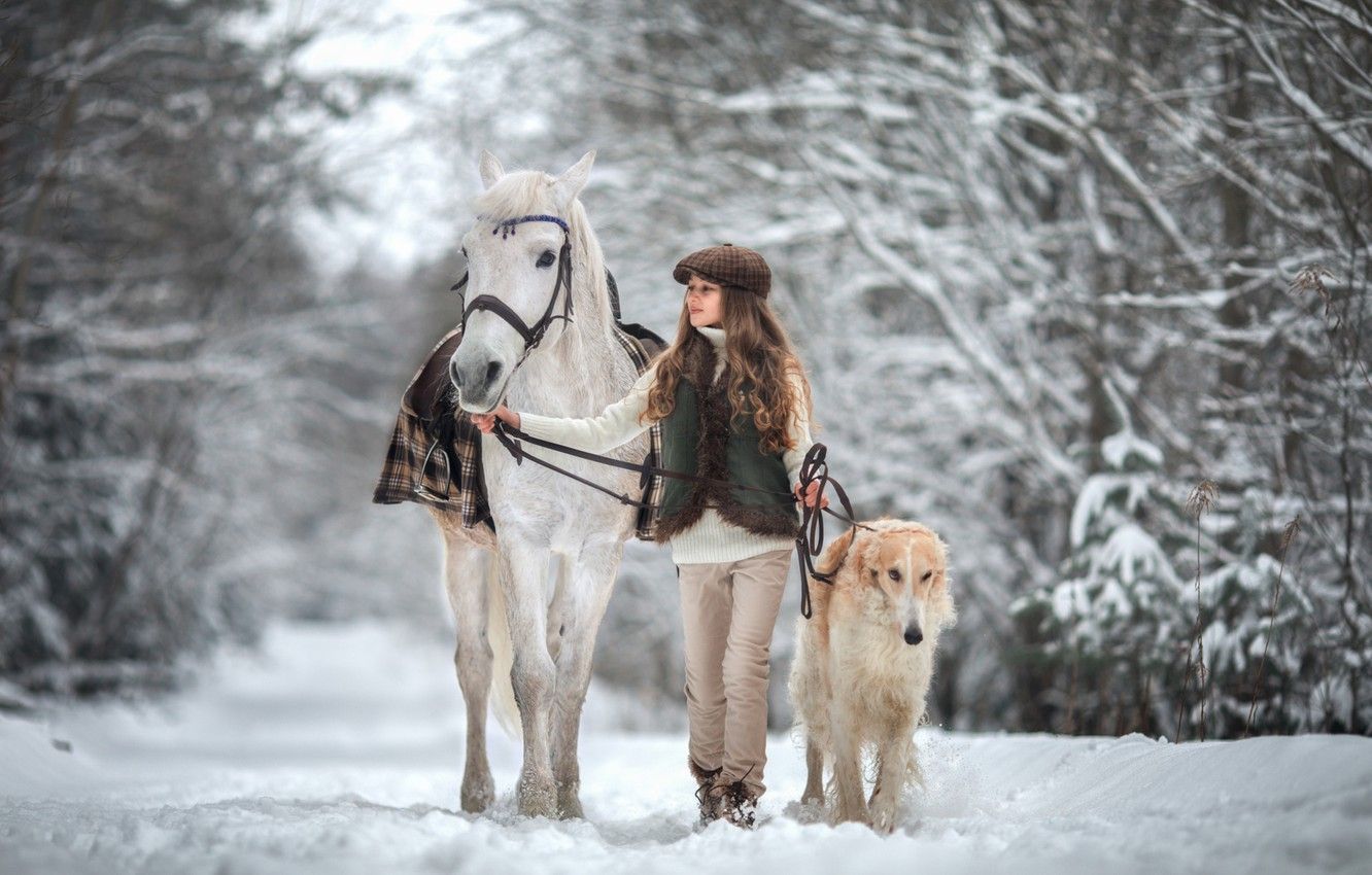 Wallpaper winter, snow, horse, dog, girl image for desktop