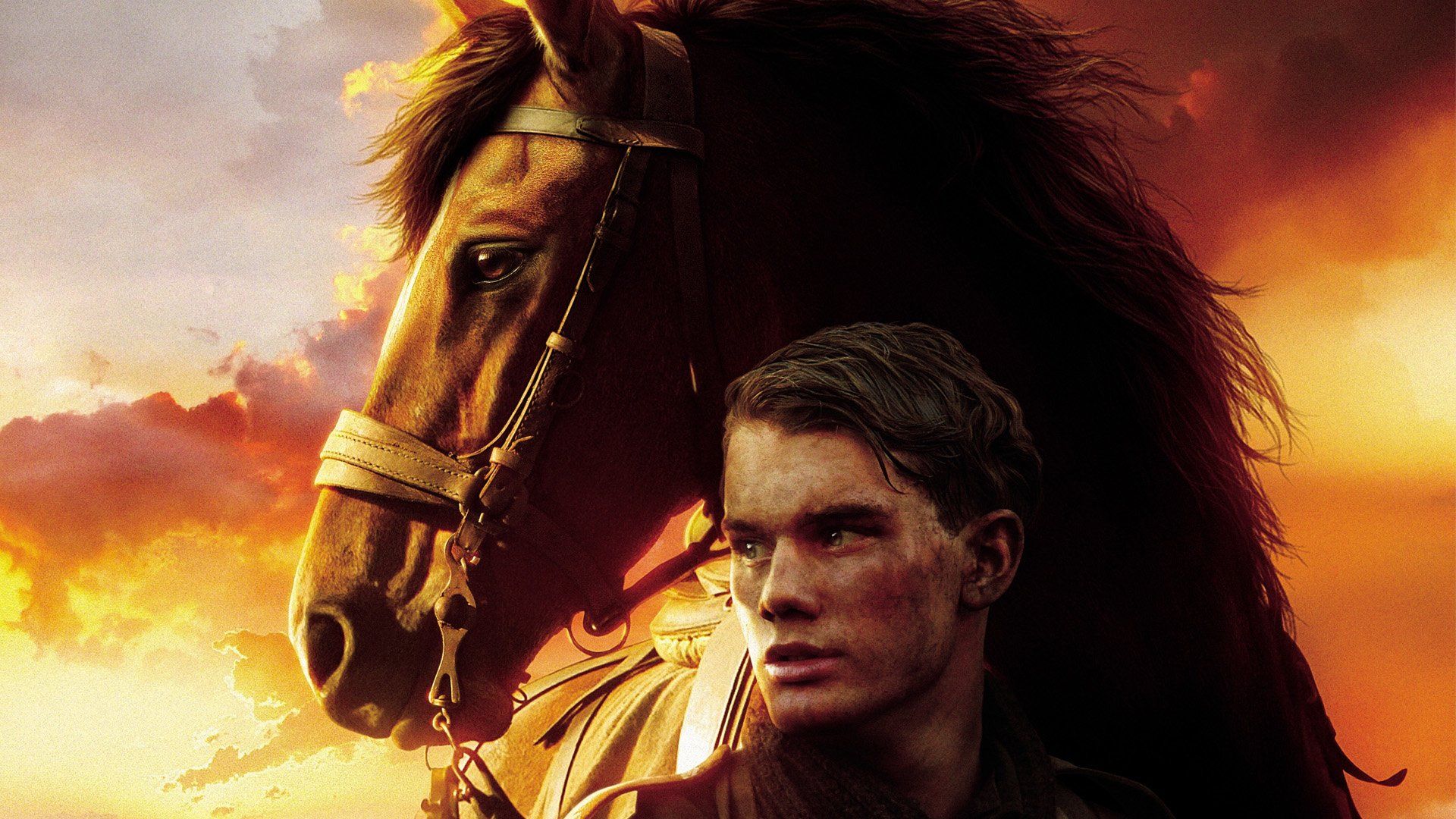 War Horse HD Wallpaper