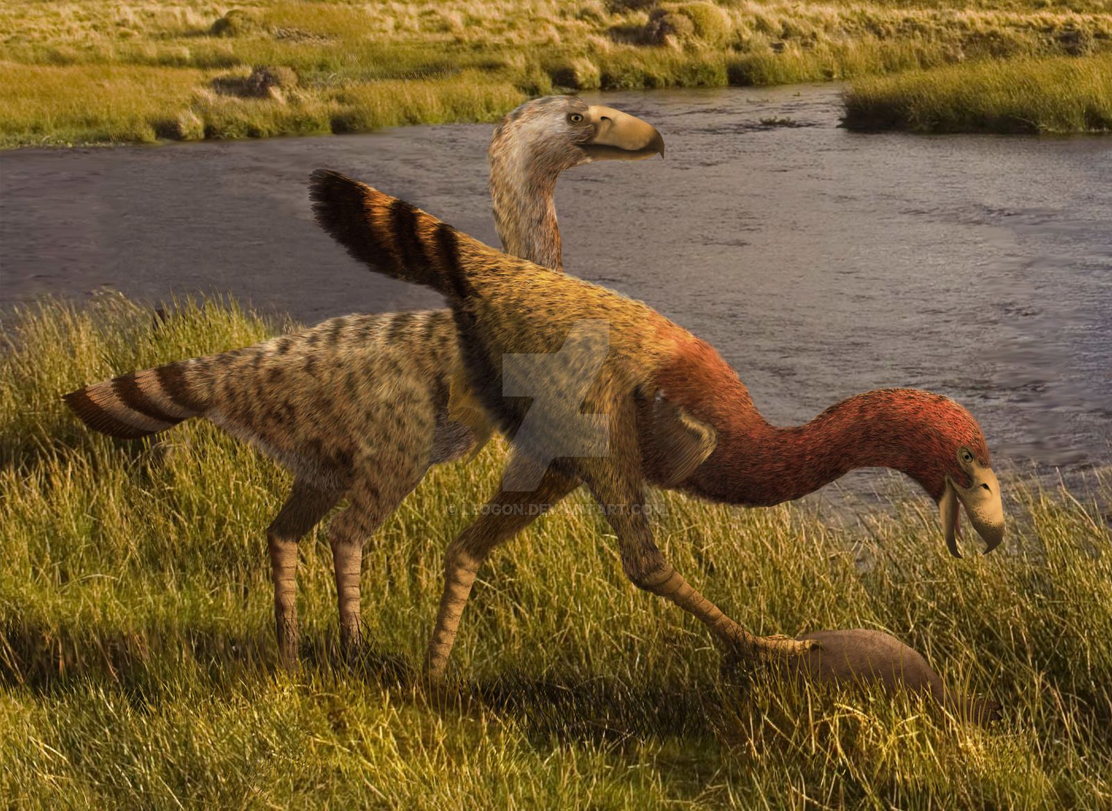 Terror Bird Wallpaper. Tower of Terror