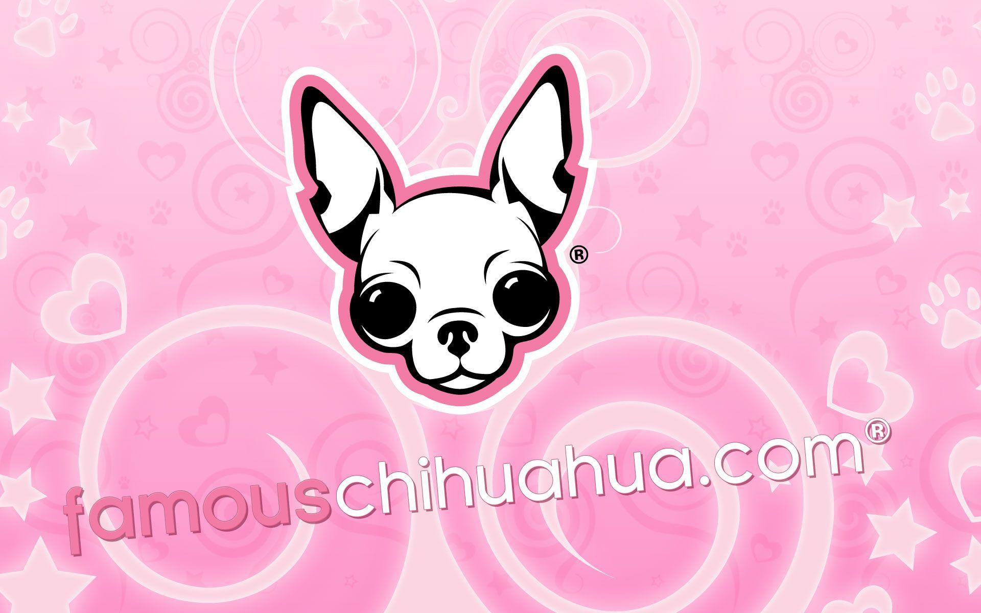 download free famous chihuahua wallpaper