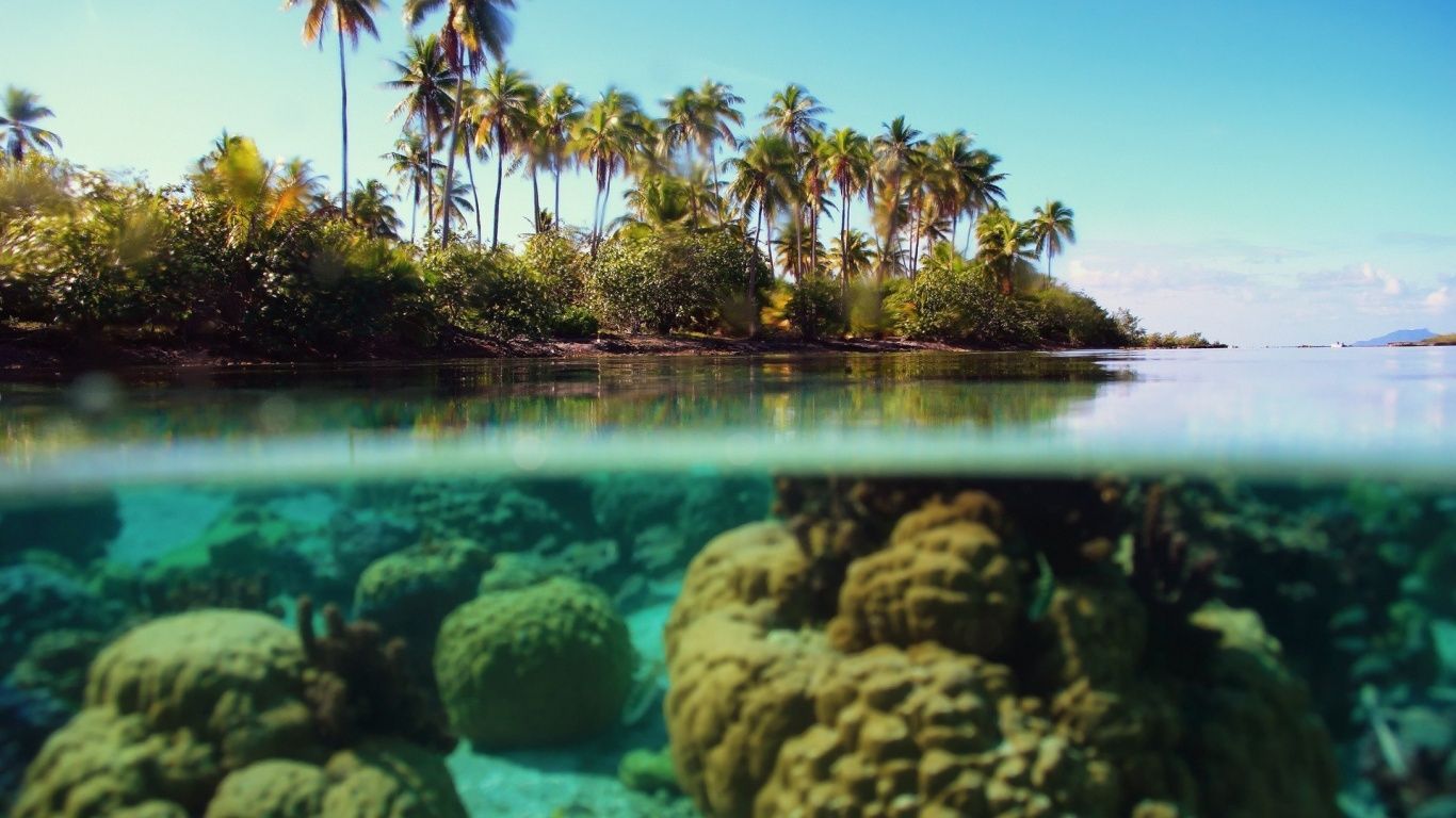 Bora Bora Background