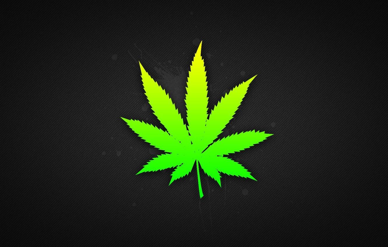 Wallpaper plant, hemp, marijuana, drug, cannabinol, trafka