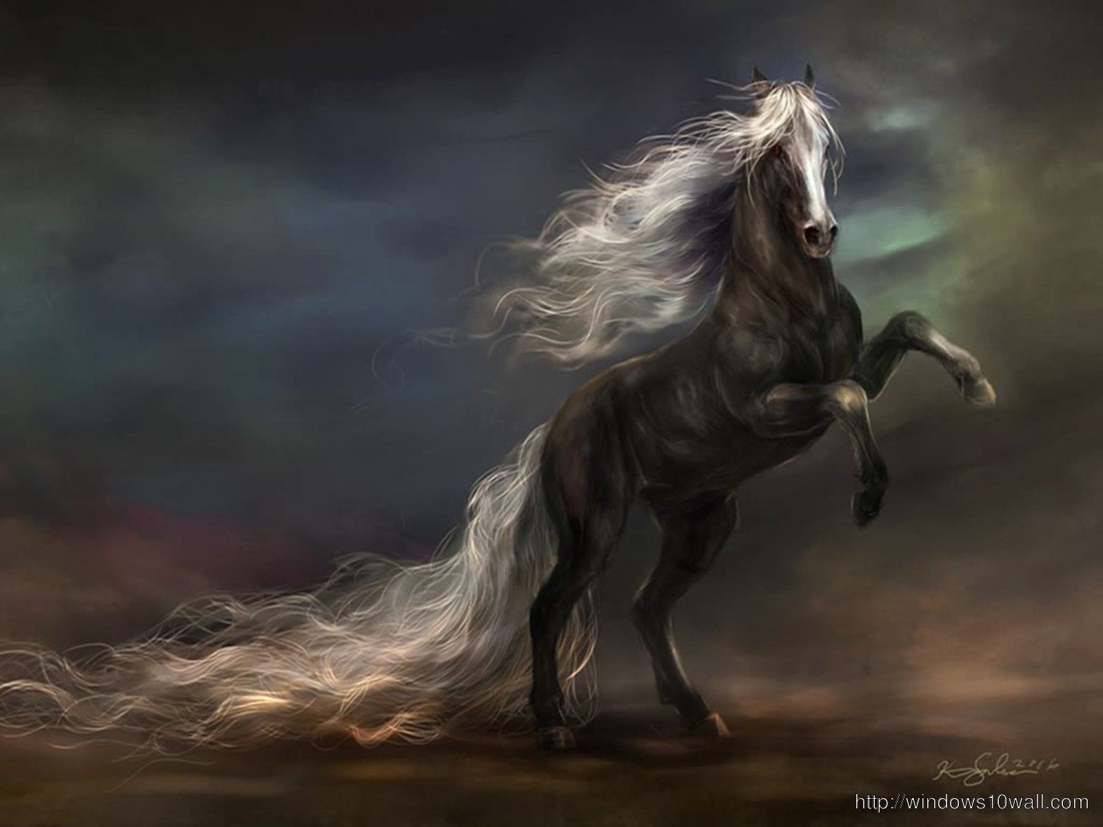 Fantasy horse animal Wallpaper HD 10 Wallpaper