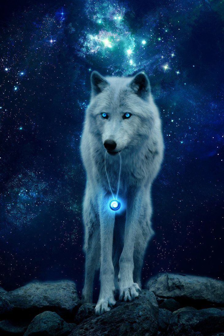 The light of stars. Wolf spirit animal, Wolf spirit, Cute animal drawings