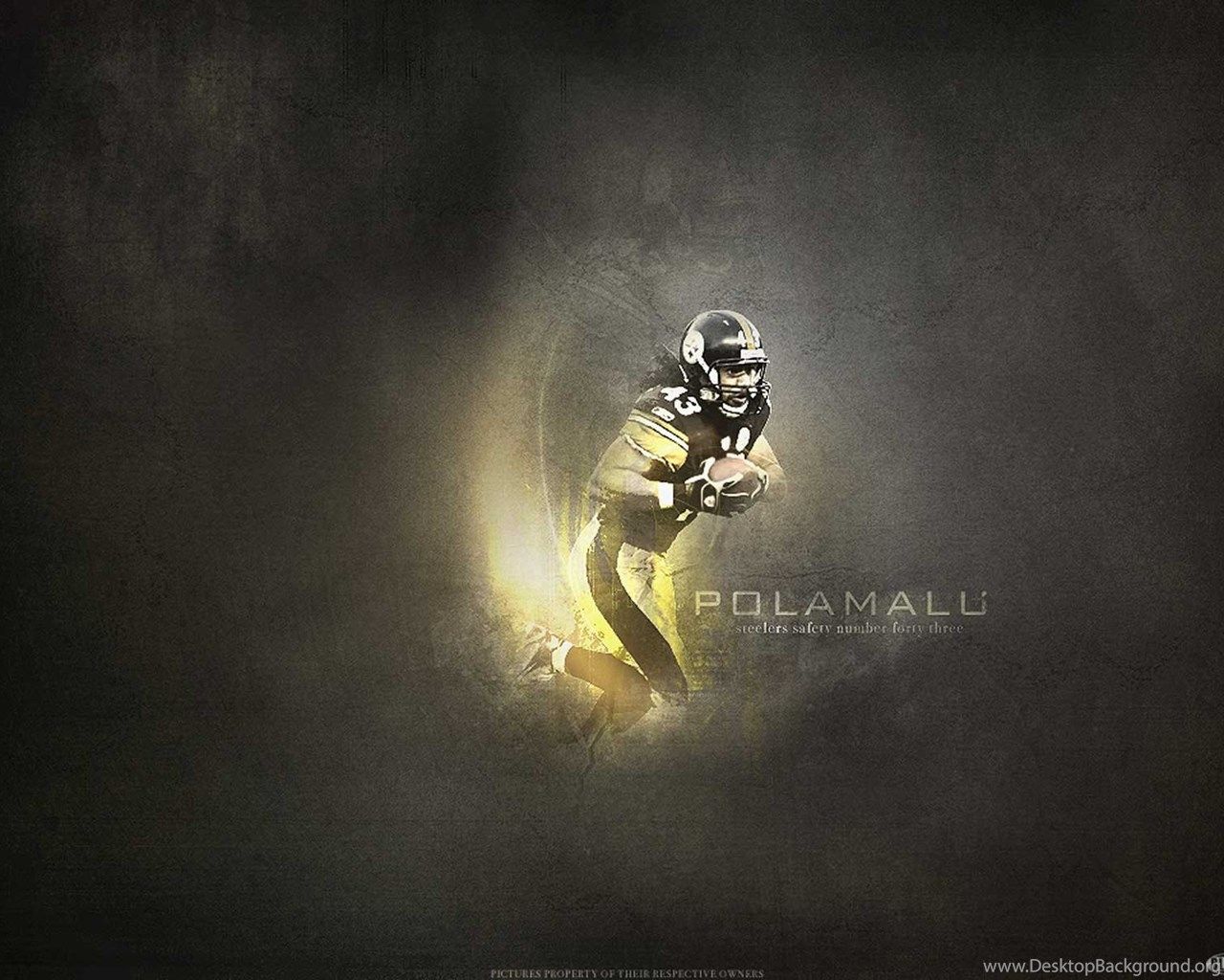Troy Polamalu Wallpaper Pittsburgh Steelers Wallpaper 1280x800