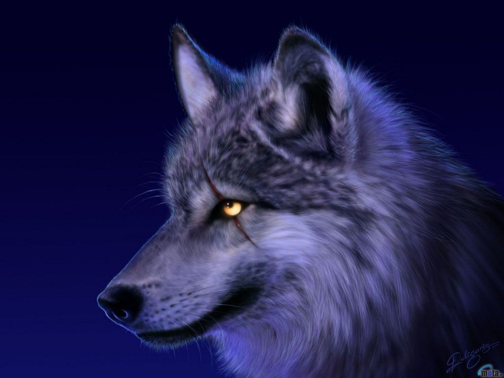 Spirit of the wolf