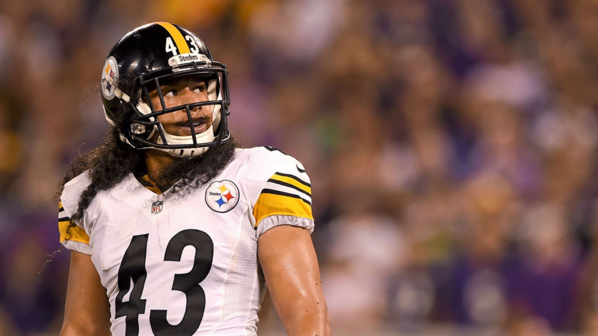 Colts punter Pat McAfee will never forget Troy Polamalu. Sporting