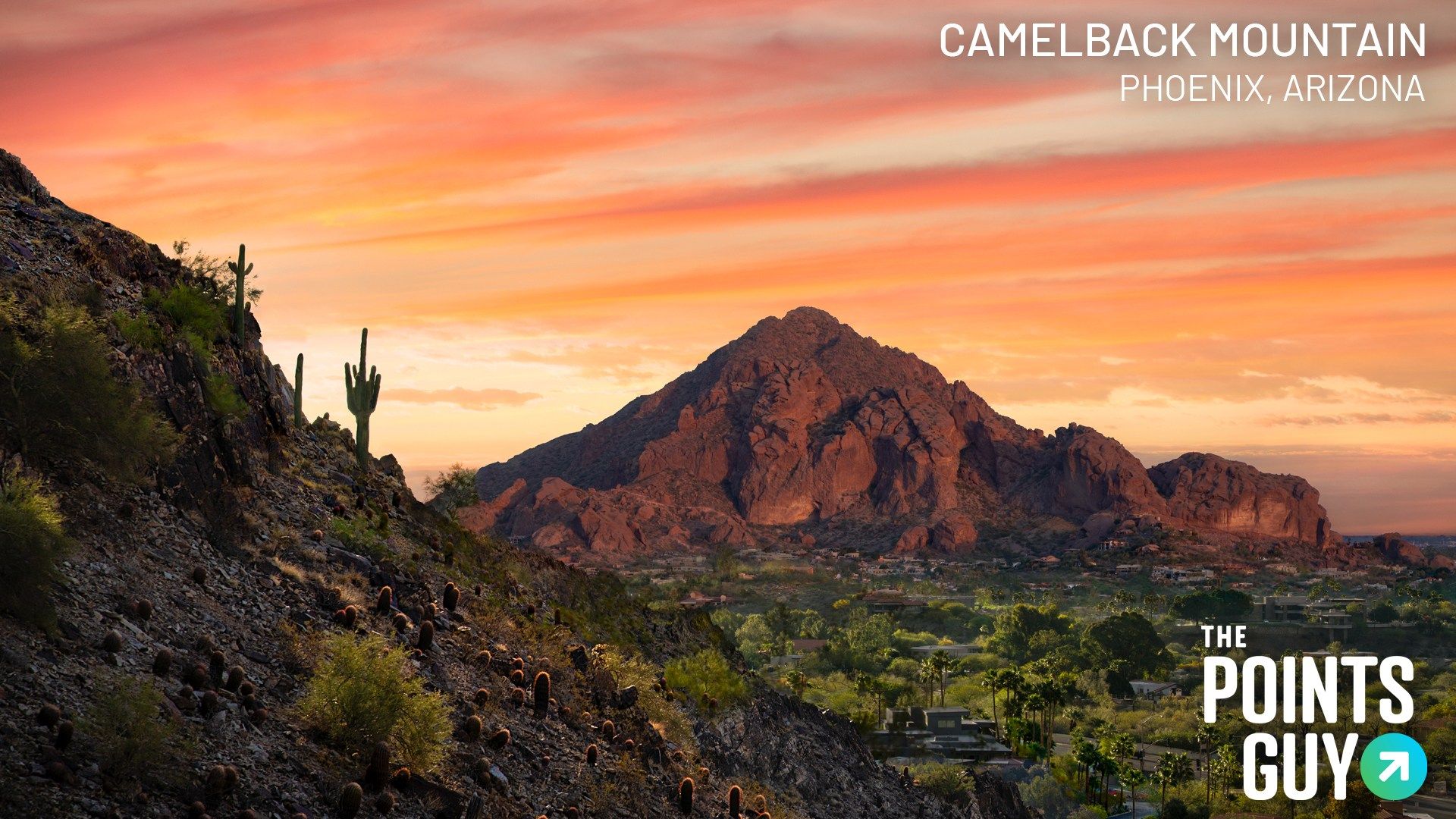 Download Zoom background from TPG for free