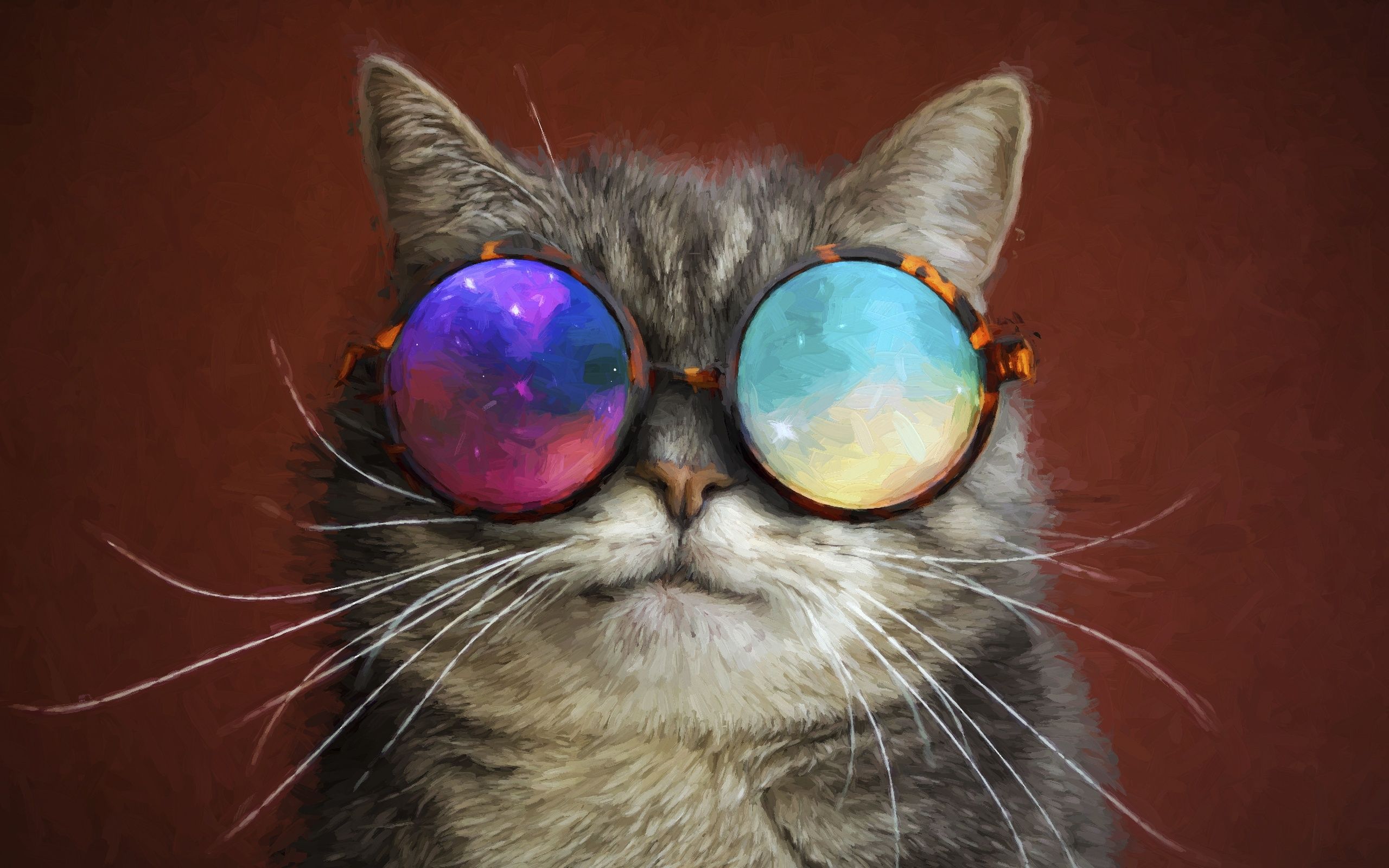 Cat Glasses Party Cool Painting 2560x1600 Resolution HD