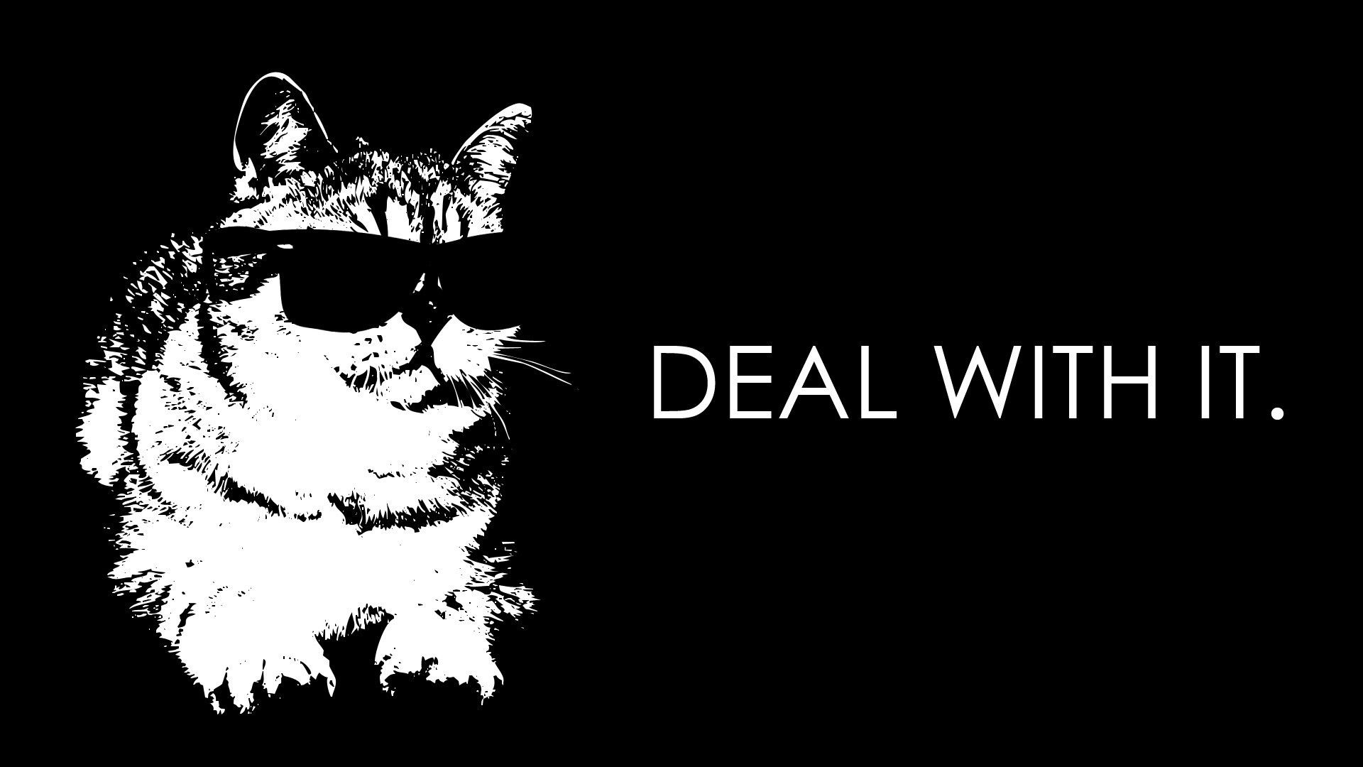 Photo Cats Deal With IT Creative eyeglasses Animals 1920x1080