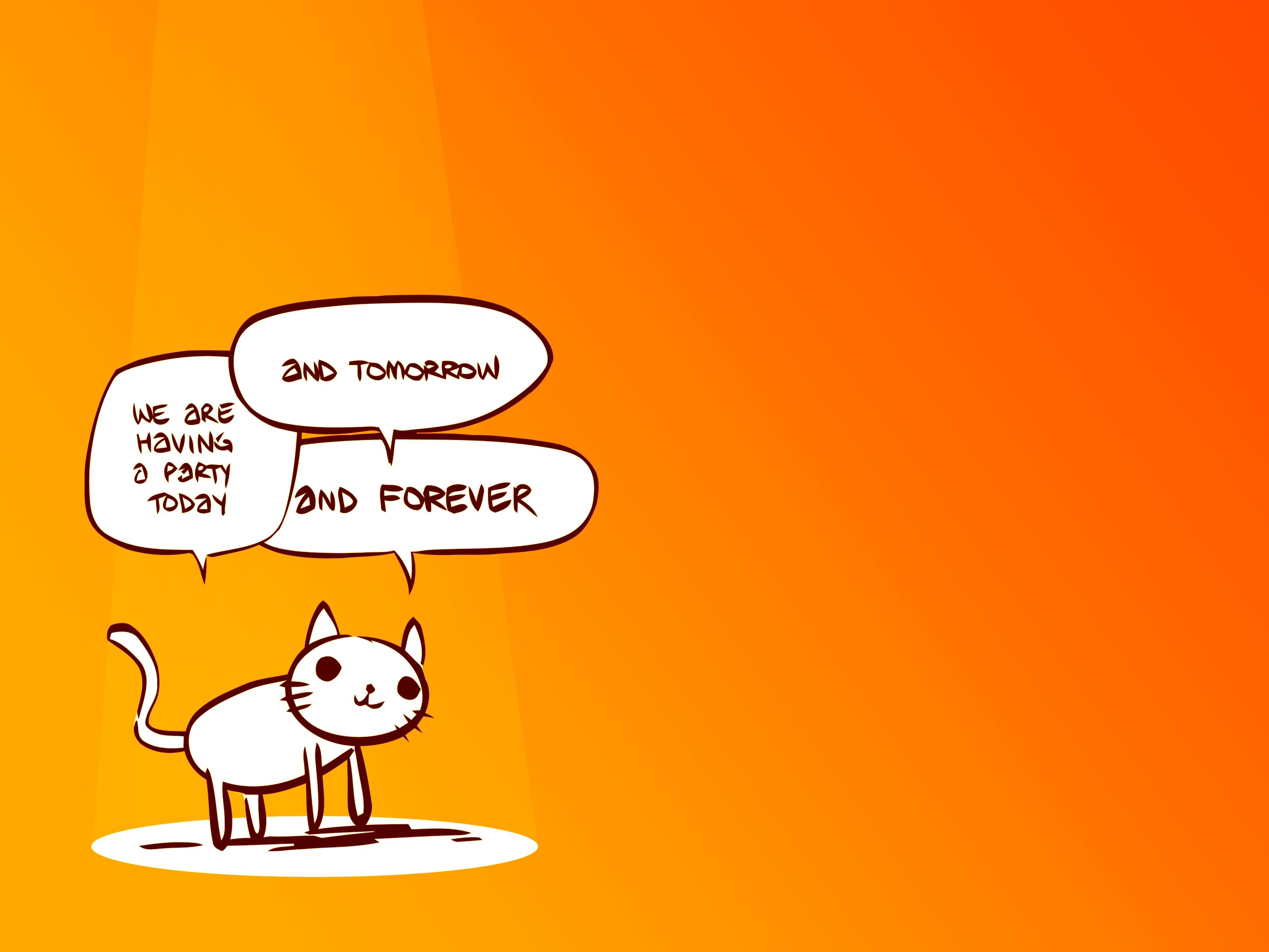 cats funny party party cat 3200x2400 wallpaper High Quality