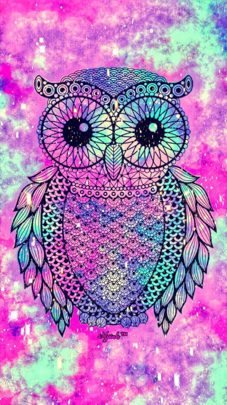 Cute Owls Wallpapers - Wallpaper Cave