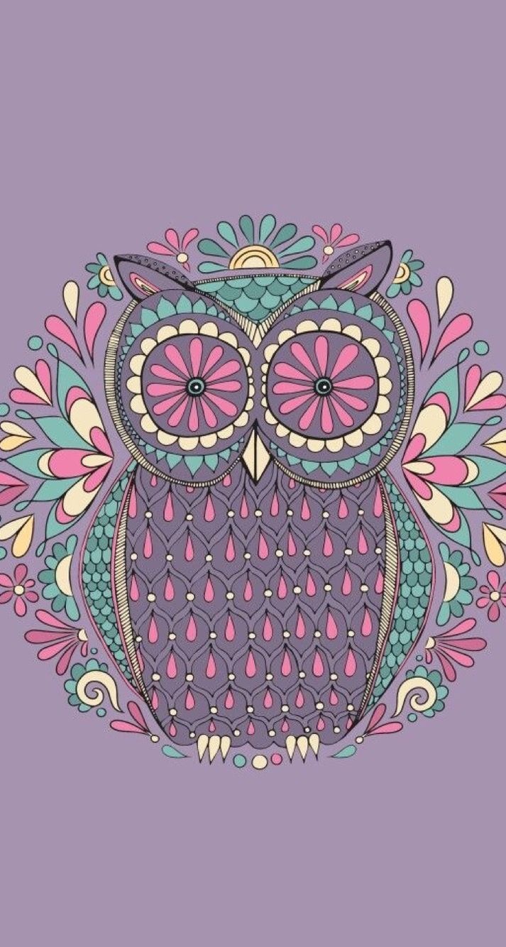 Colorful Cartoon Owl Wallpaper Free Is 4k Wallpaper