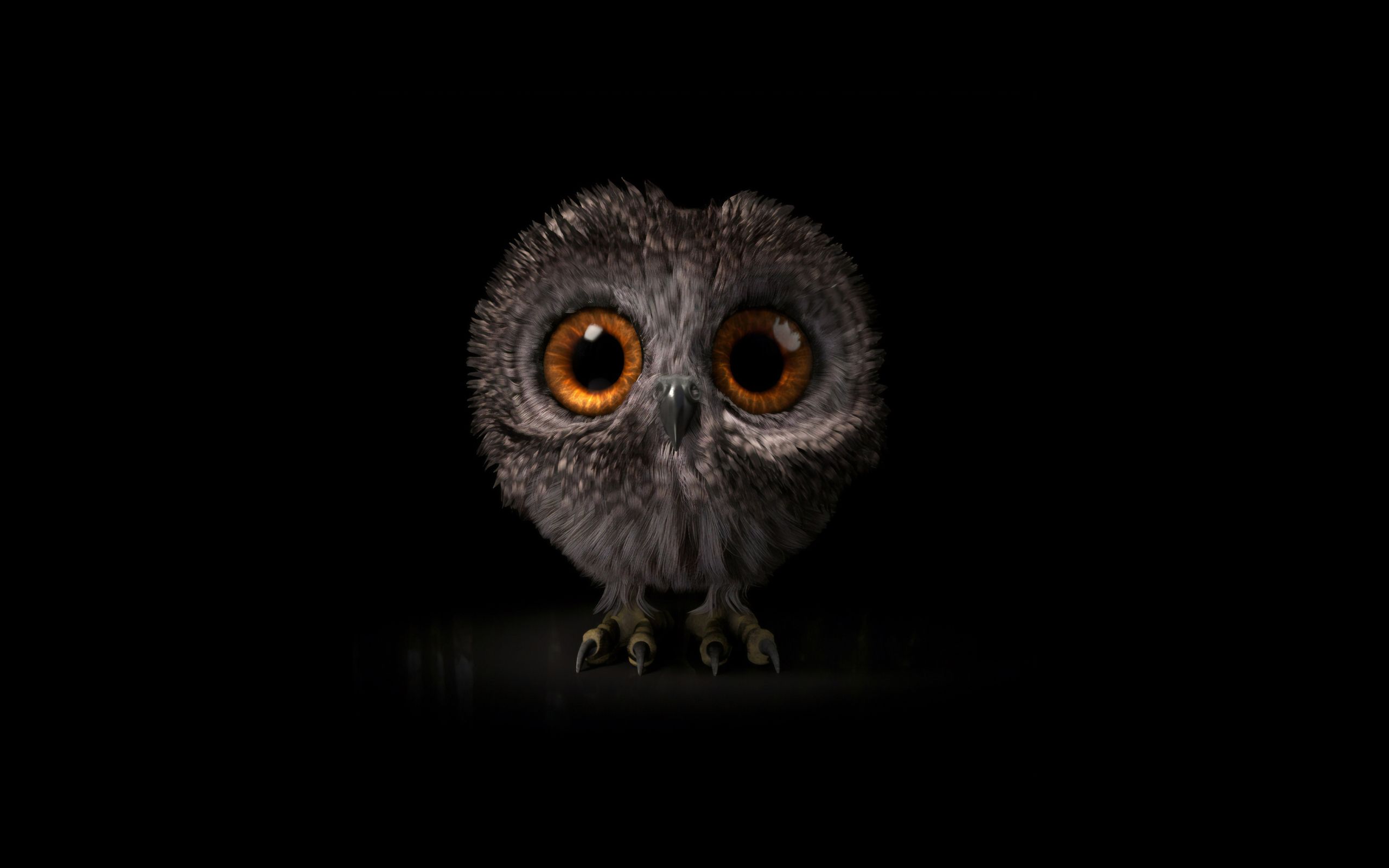 Wallpaper of Baby Animal, Cute, Owl, Owlet background & HD image
