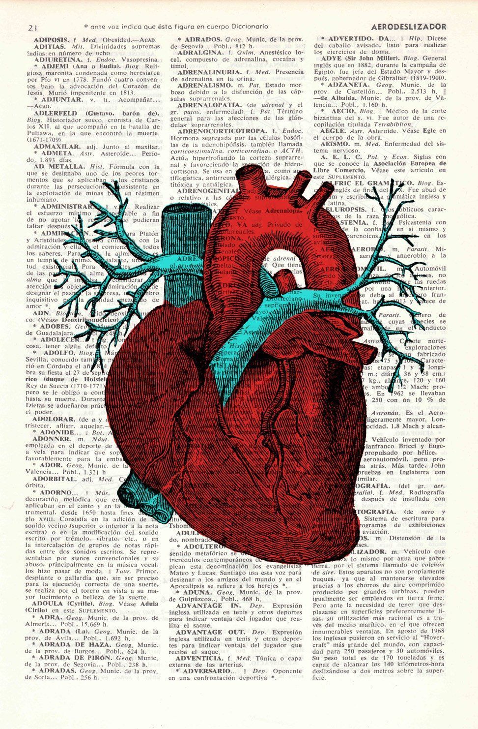 Heart Anatomy Wallpapers - Wallpaper Cave