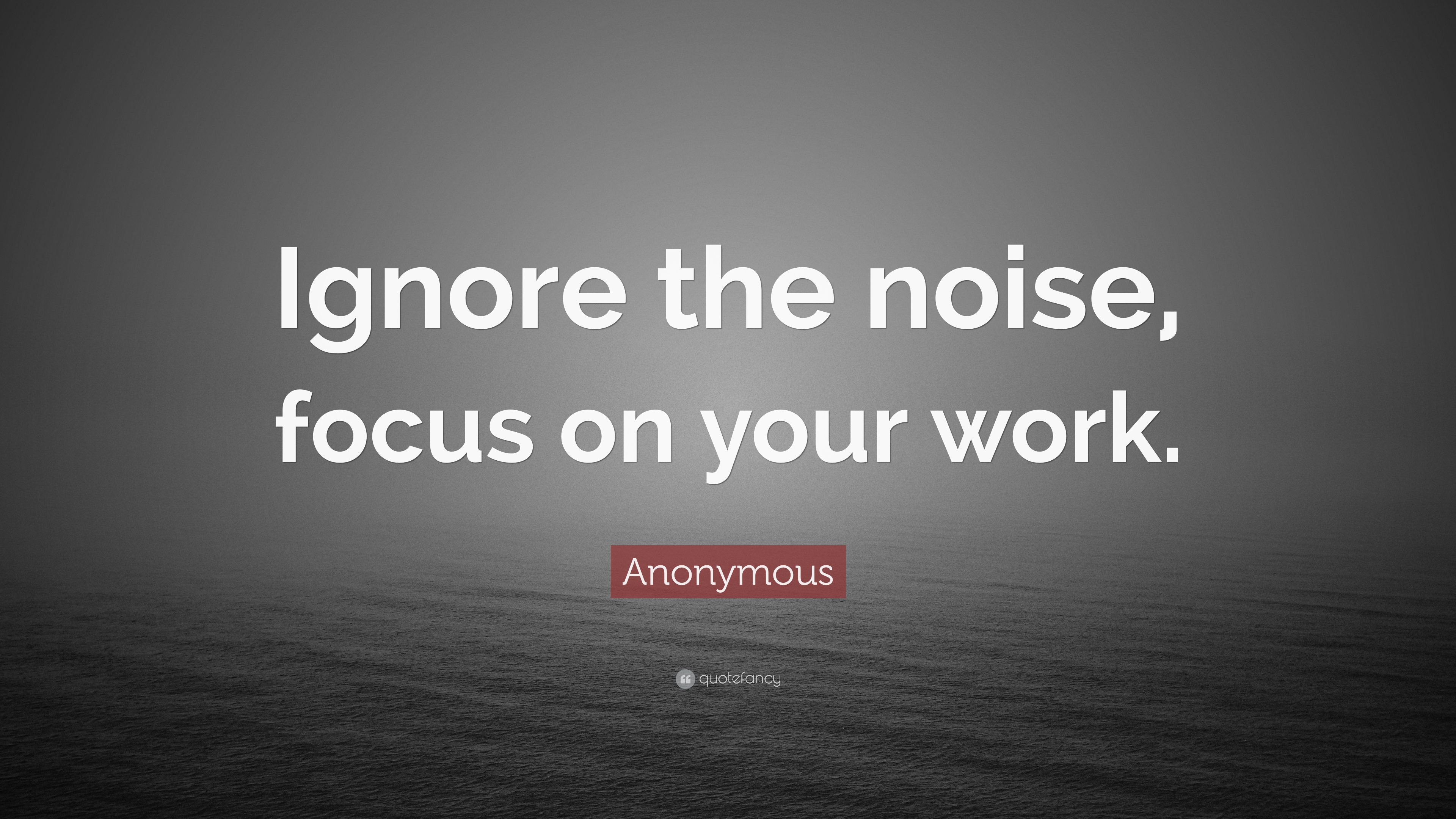Anonymous Quote: “Ignore the noise, focus on your work.” 14