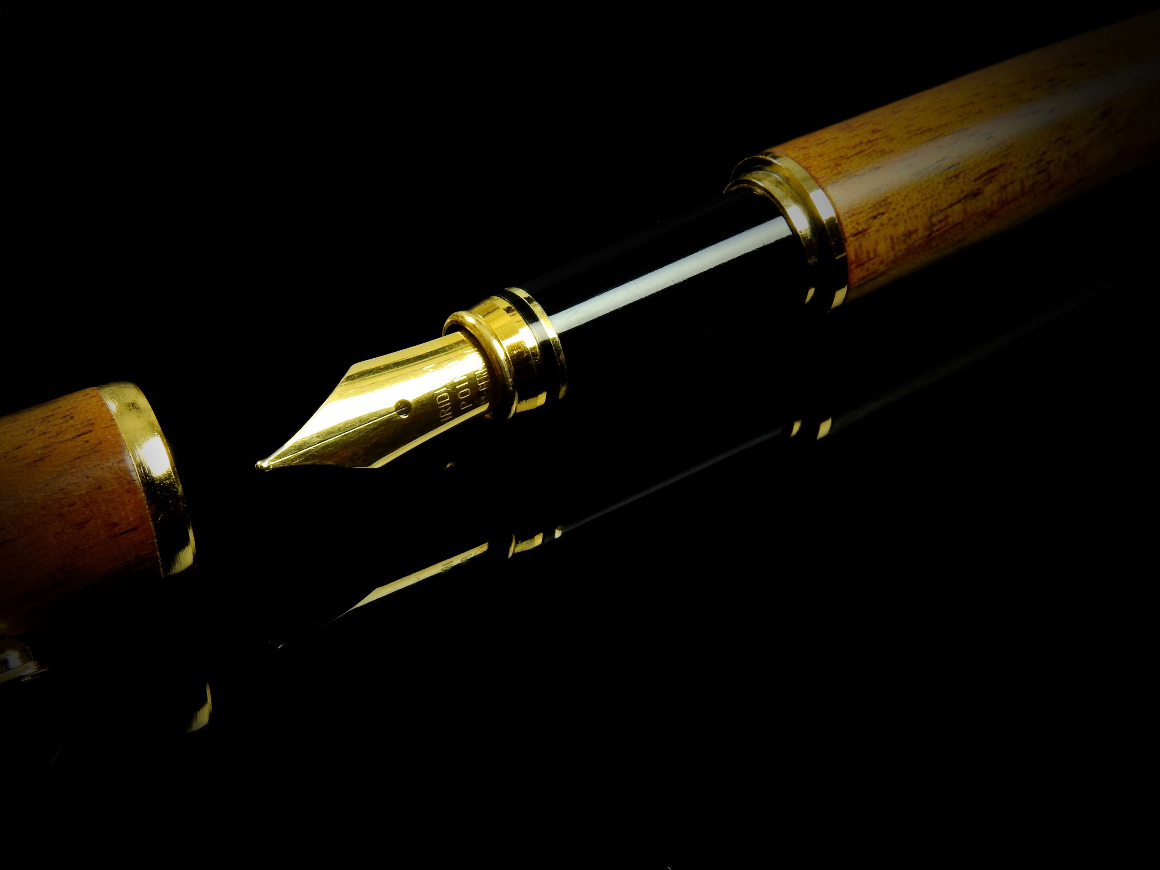 Dip Pen, Fountain Pen, Nib Pen, Pen, Precision, Reflection