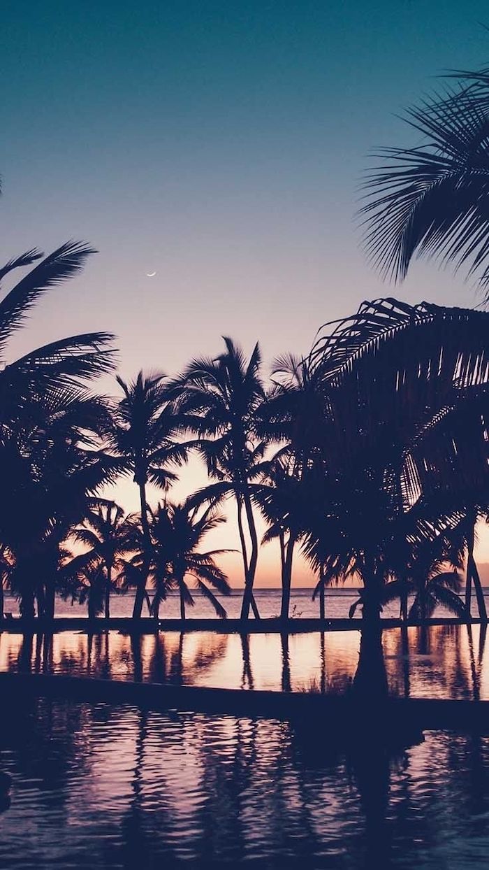 Cute Background For Girls Sunset Above The Ocean Black Palm Trees. Summer Wallpaper, Wallpaper Iphone Summer, Cute Summer Wallpaper