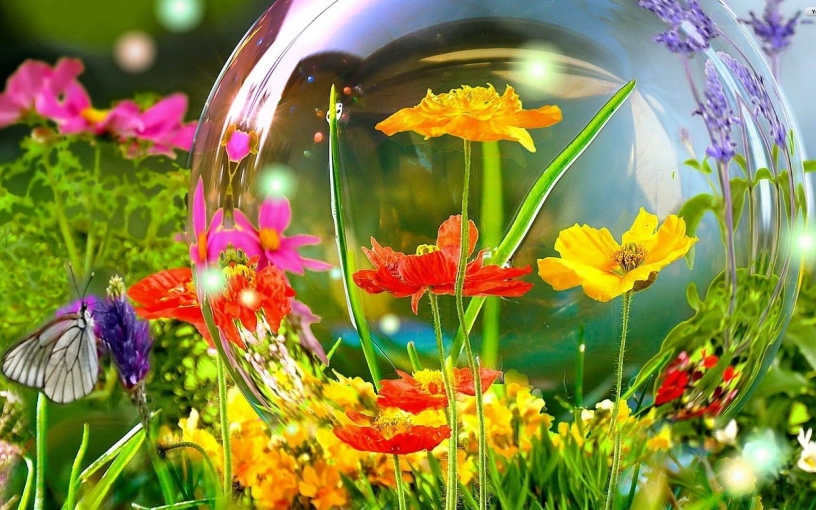 Free download Colored Garden Flowers Wallpaper
