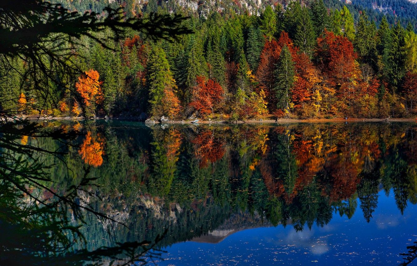 Wallpaper autumn, forest, trees, lake, reflection, Italy, Italy, Trentino, Lago di Tovel, Trentino, Lago Di Tovel, Lake Tovel image for desktop, section пейзажи