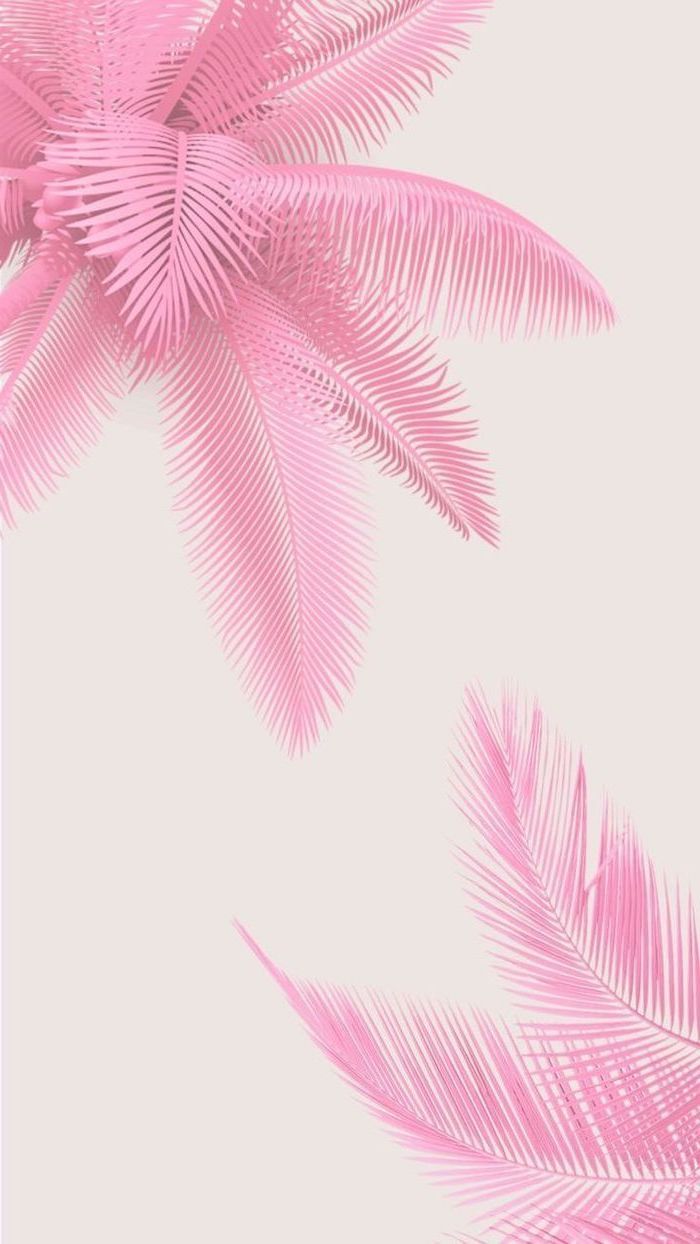 Pink Cute Wallpaper