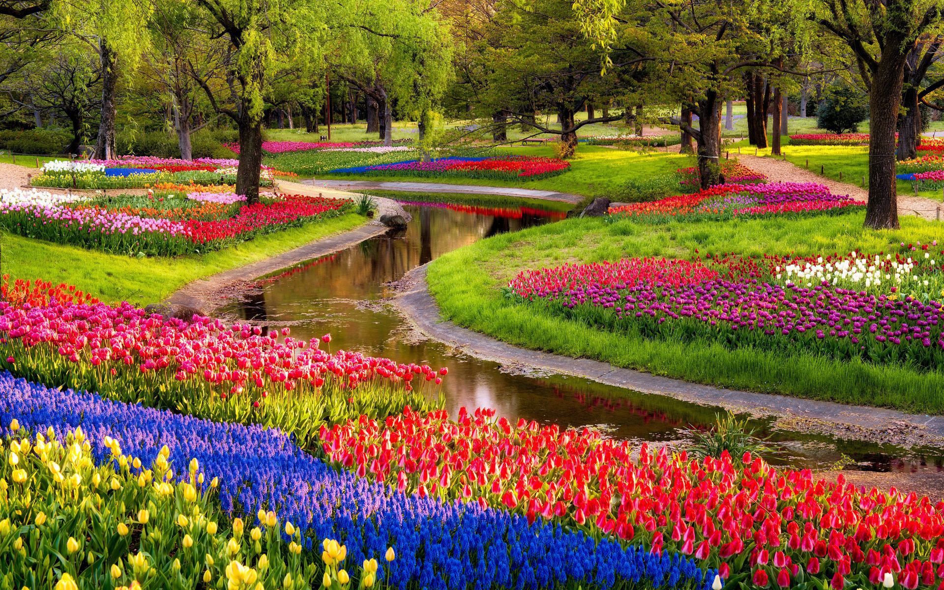 Nature Flowers Wallpaper Nature Flowers Garden
