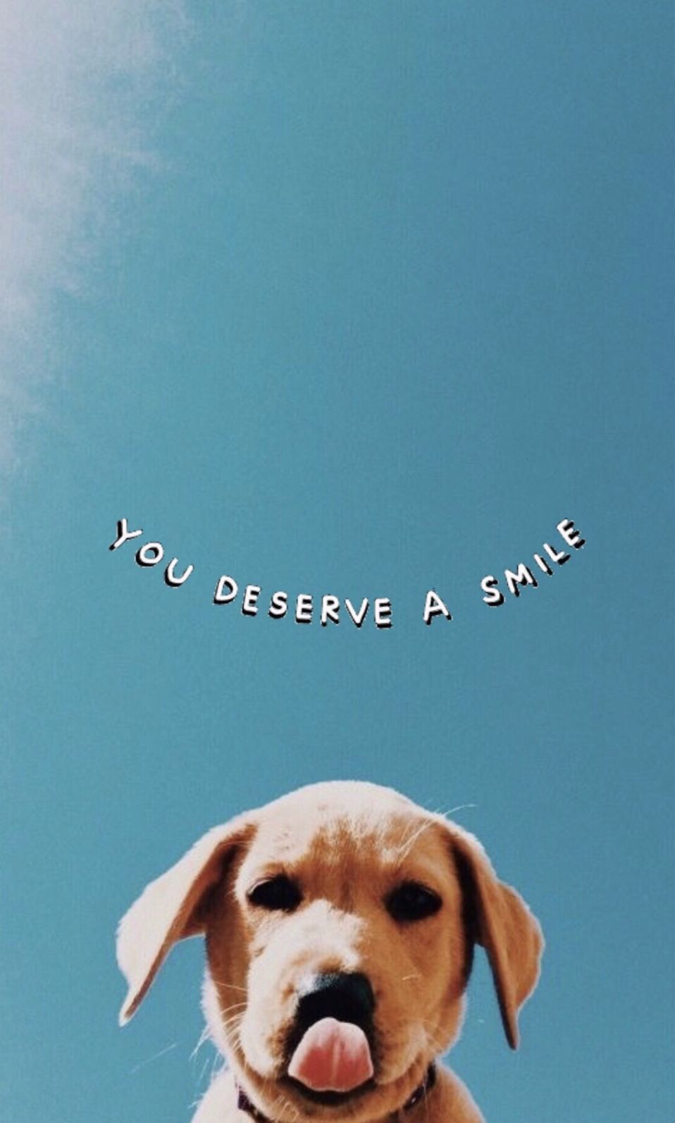 quotes. Funny iphone wallpaper, Cute dog