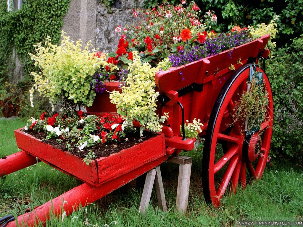 Carriage Beautiful Flower Garden Wallpaper Rose