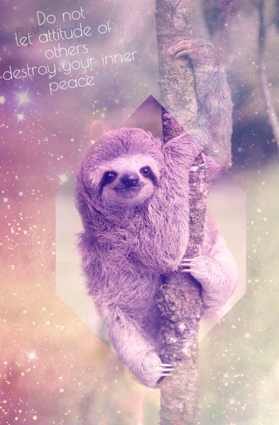 Cute Baby Wallpaper Sloth