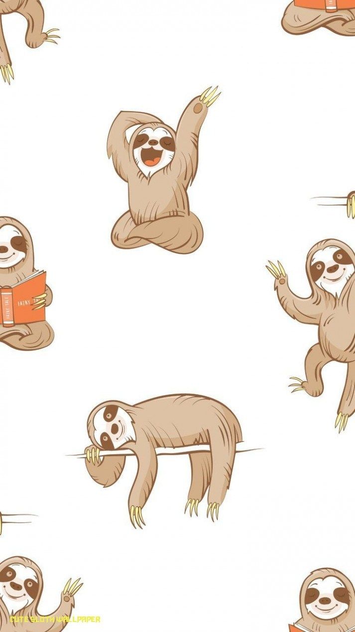 Why Cute Sloth Wallpaper Had Been So Popular Till Now?. Cute