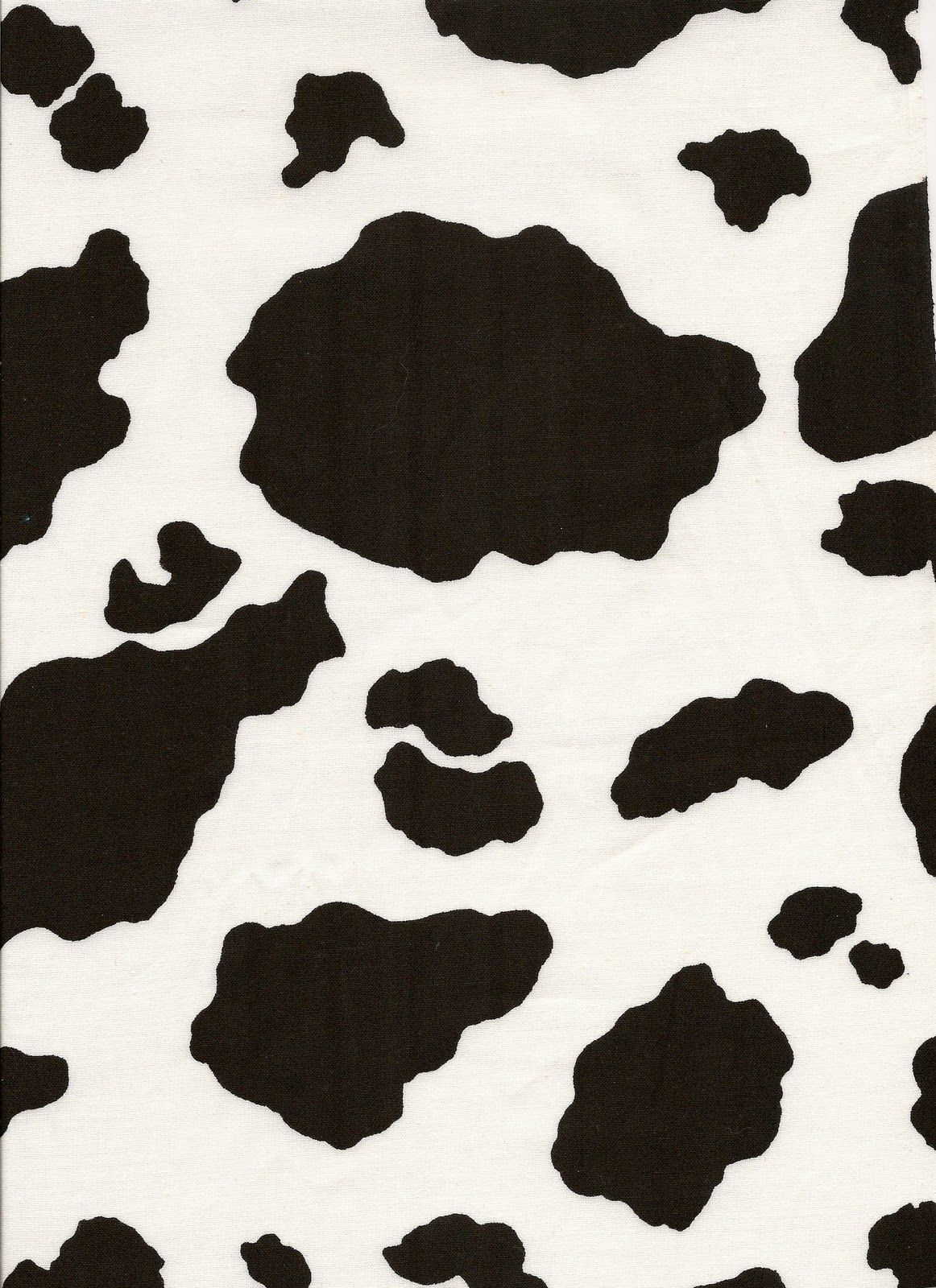 Download Majestic Cow in Green Pasture  iPhone Wallpaper Wallpaper   Wallpaperscom