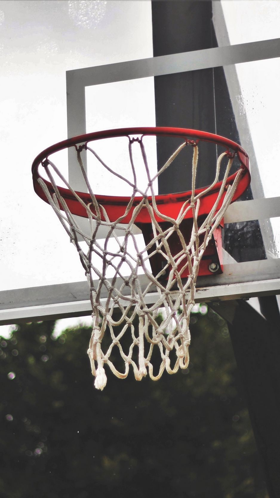 Download wallpaper 938x1668 basketball shield, basketball, mesh