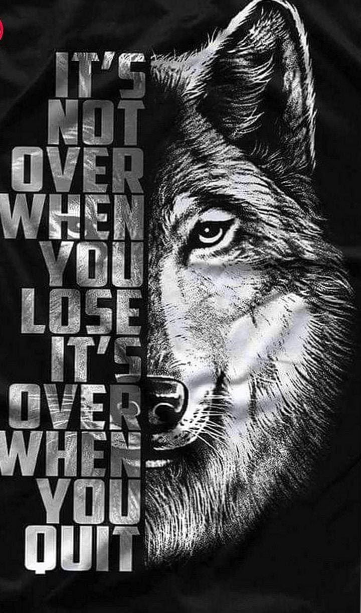 Lone Wolf Motivational Wallpaper Wallpaper.Pro