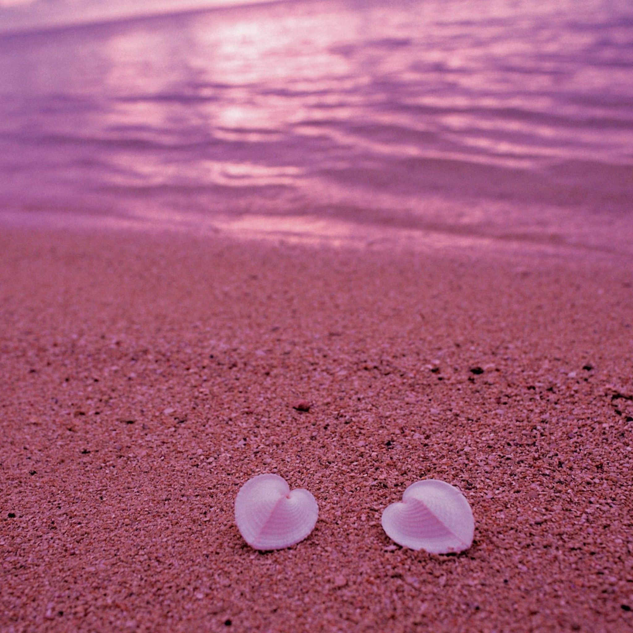 Heart Shaped Seashells On Pink Beach iPad Air Wallpaper Beach Seychelles Wallpaper & Background Download