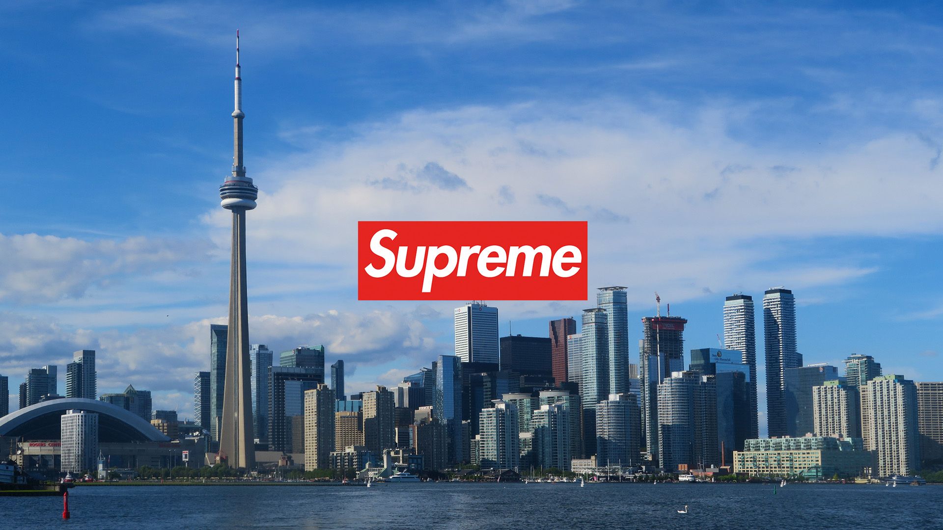 Supreme Toronto Wallpaper