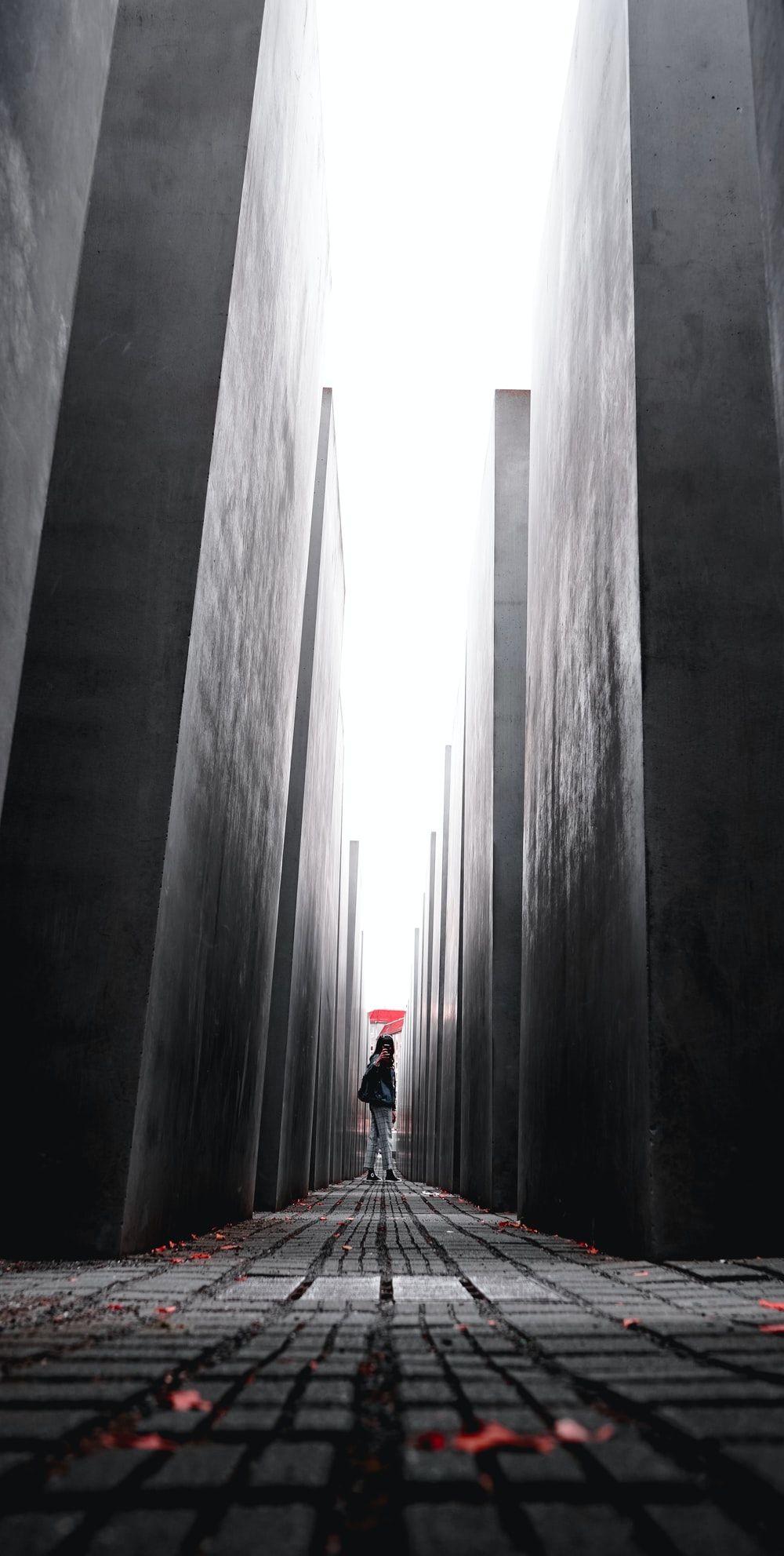 Holocaust Picture. Download Free Image
