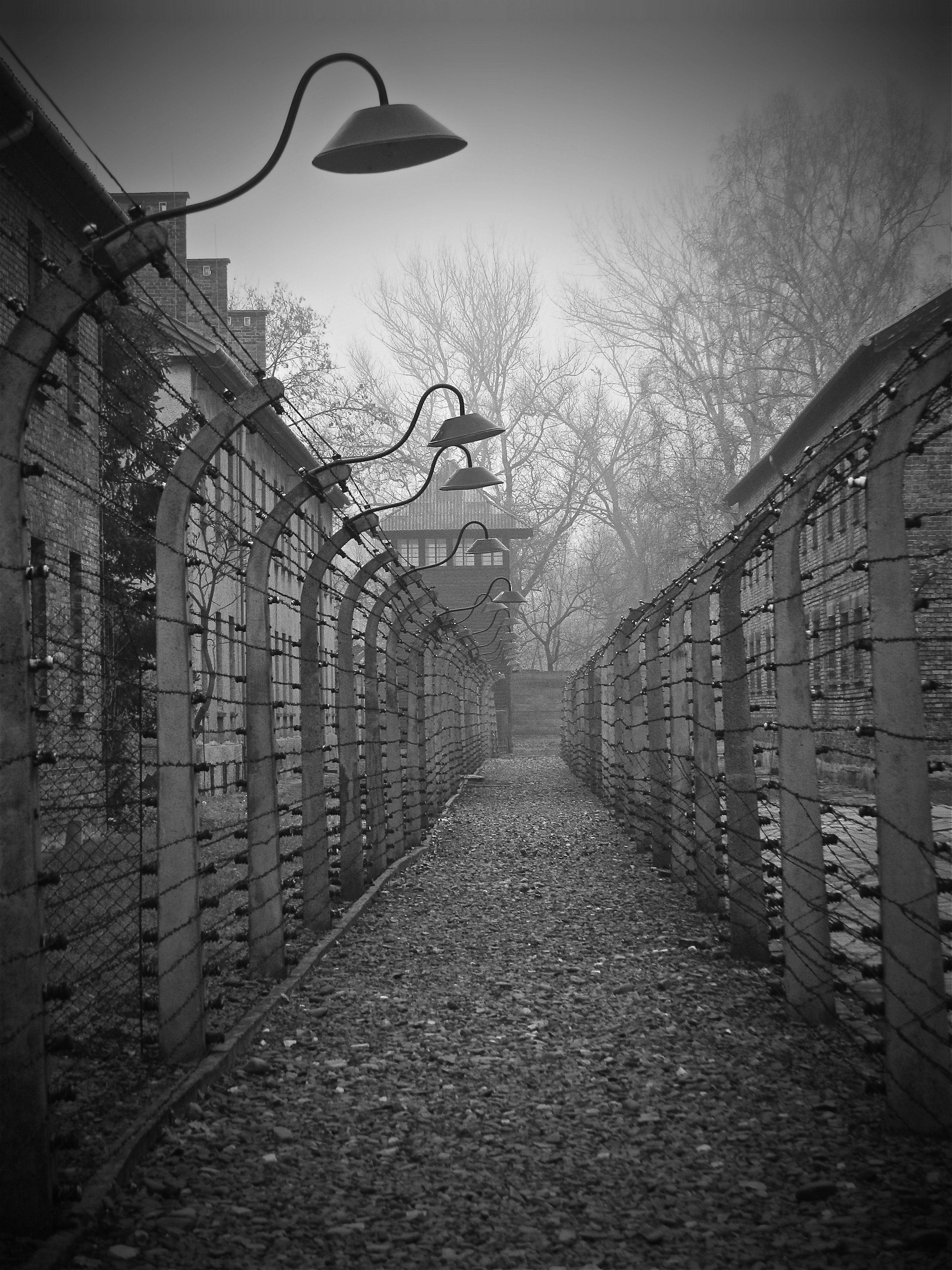 Holocaust