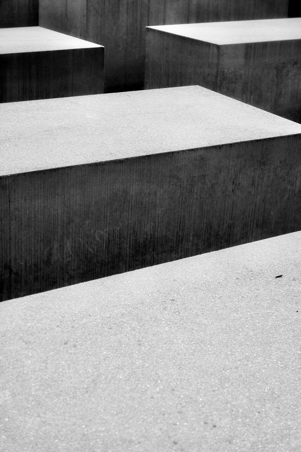 Holocaust Picture. Download Free Image