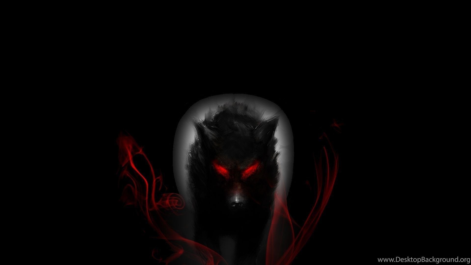 Popular Wolf Wallpaper & Background Download