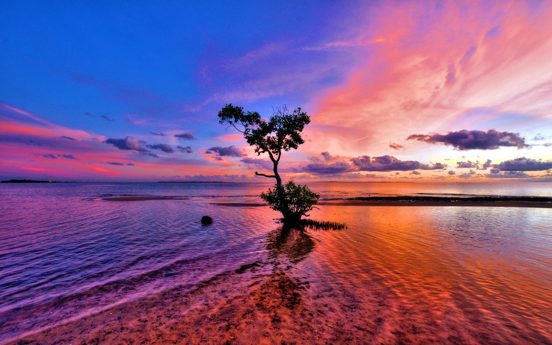 water, Sunset, Clouds, Landscapes, Nature, Coast, Trees, Skyscapes