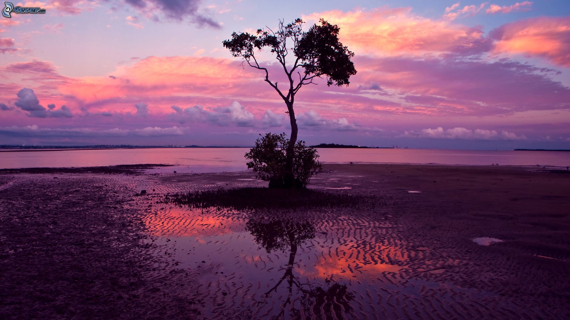 Large lake