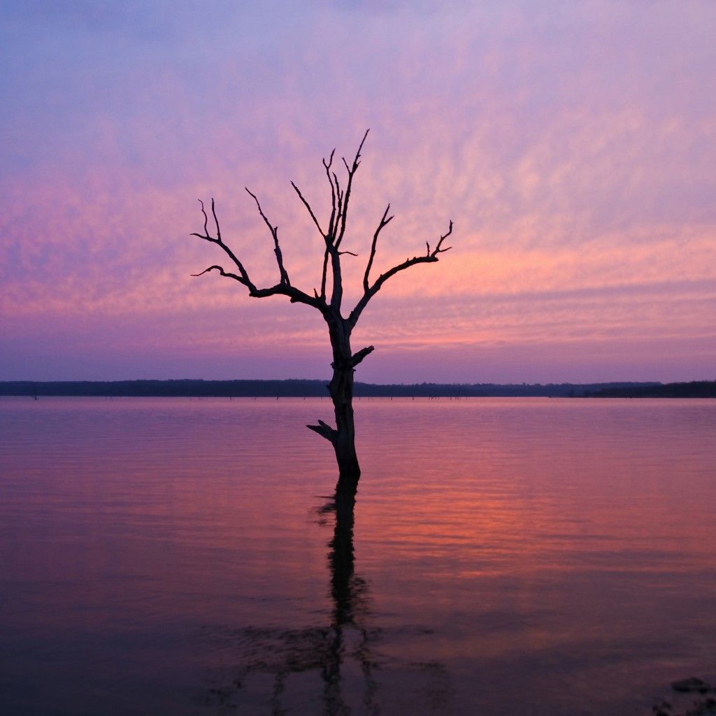 Best lonely iPad Wallpaper HD
