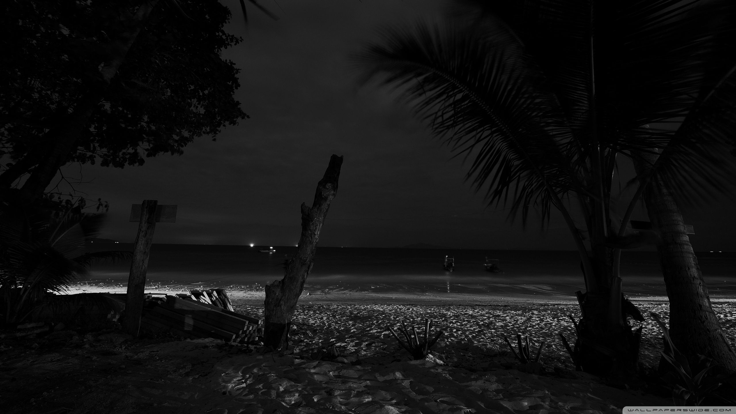 Beach Night HD Wallpaper HD Photo Collection At Night HD