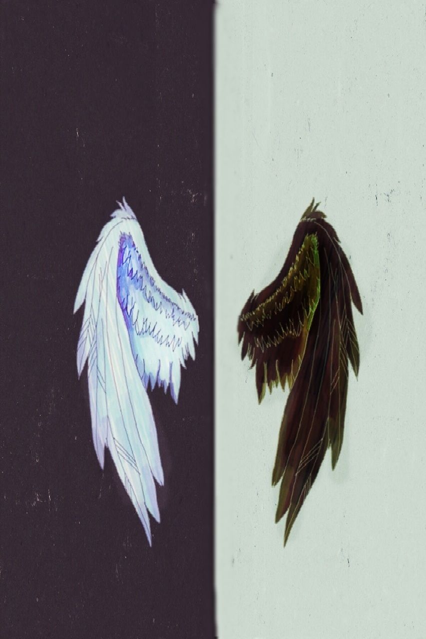 angel and devil wings wallpaper
