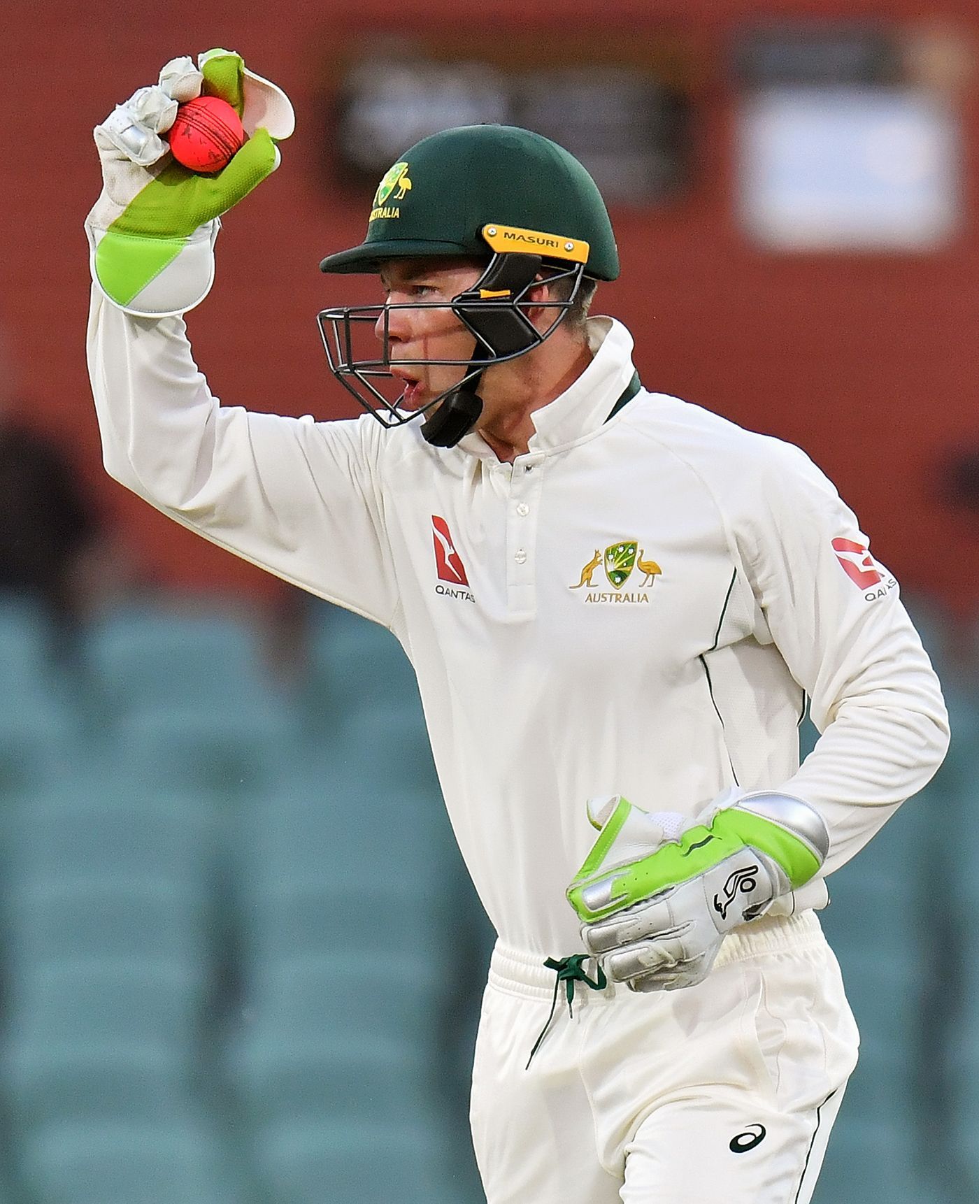 Tim Paine Latest HD Wallpaper And Best Photo