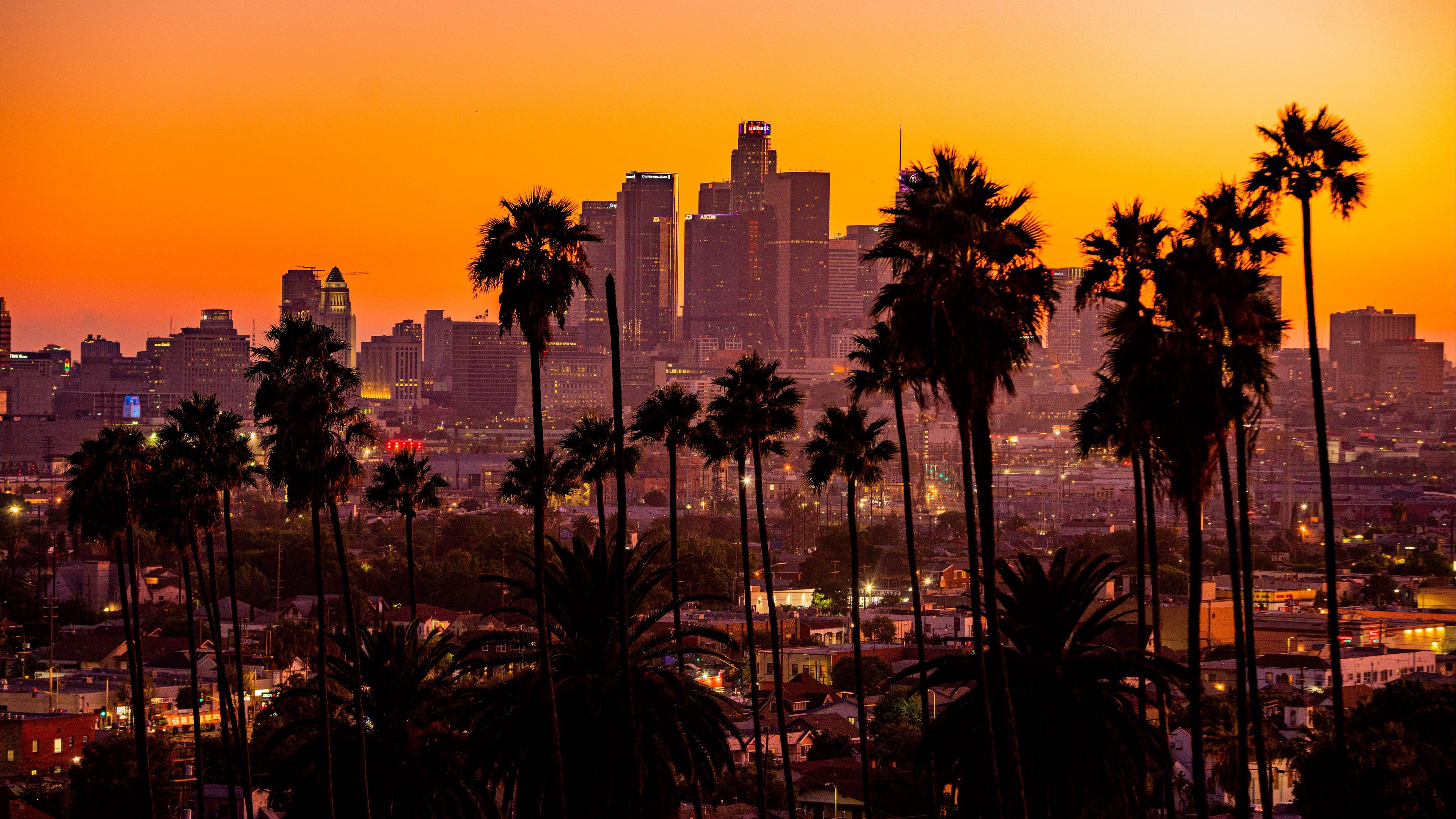 Download wallpapers 3840x2160 city, palm trees, sunset, buildings